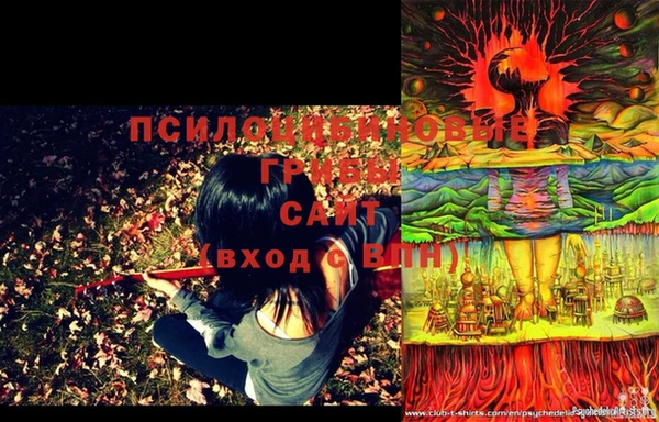 спайс Белокуриха